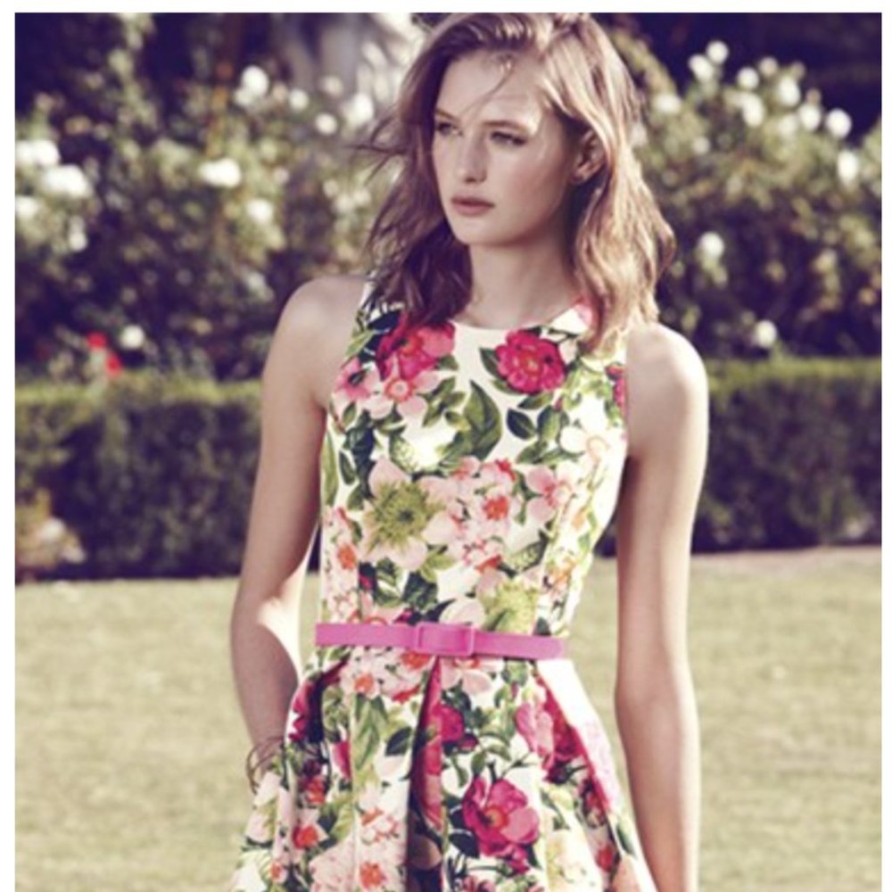 Eliza J Belted Floral Print Faille Fit & Flare Dress